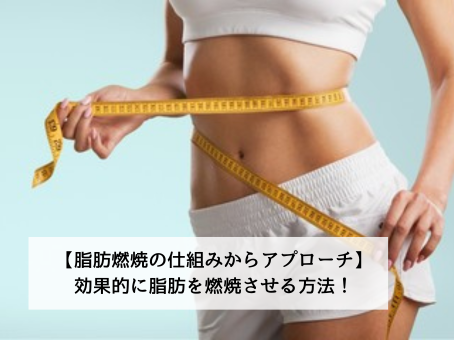 ダイエット画像